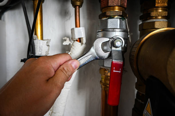 Best Plumbing Services Near Me  in Baileyton, AL
